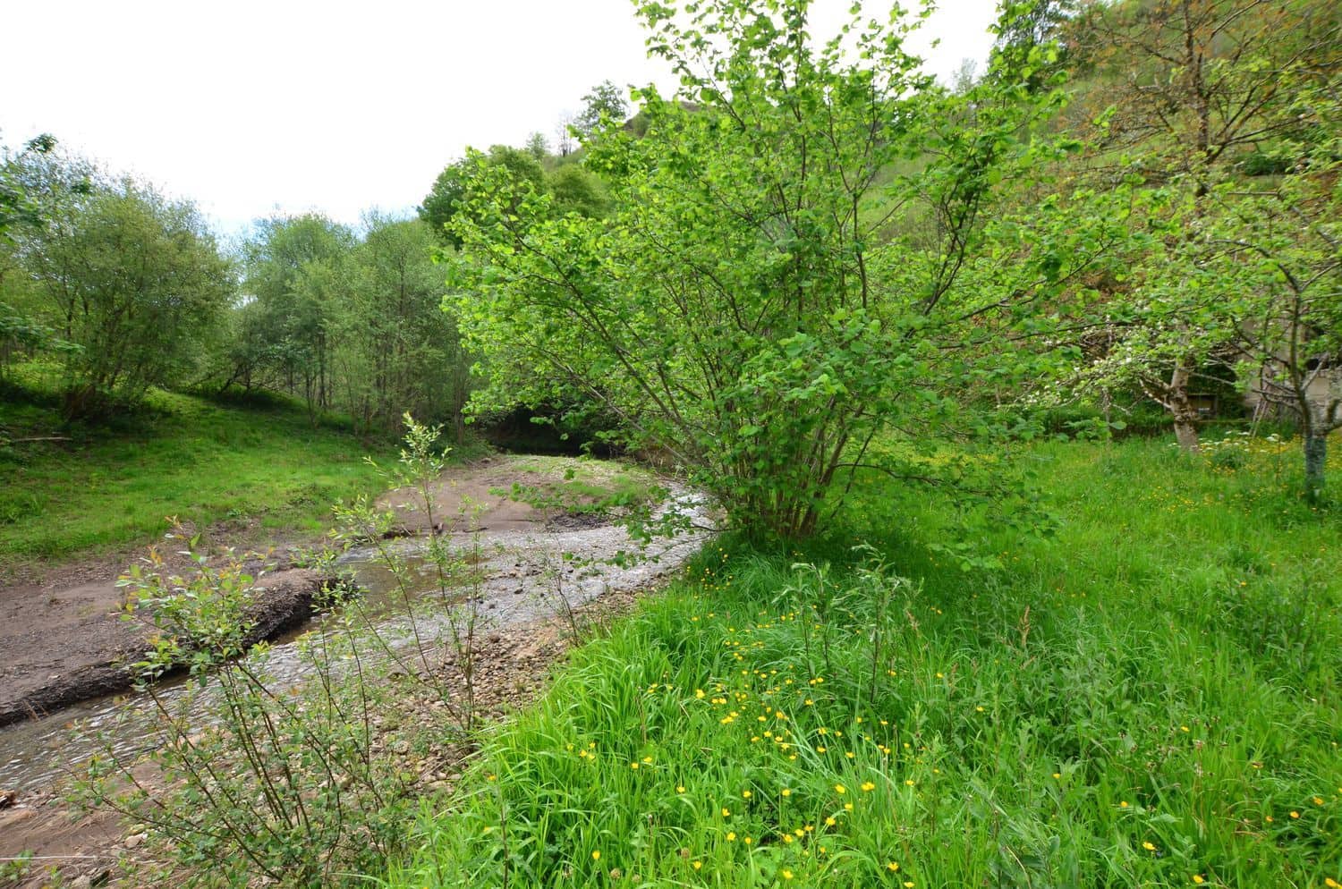 2 soveværelse Finca/Landehus til salg i Pilona med garage - € 168.000 (Ref: 8971809)