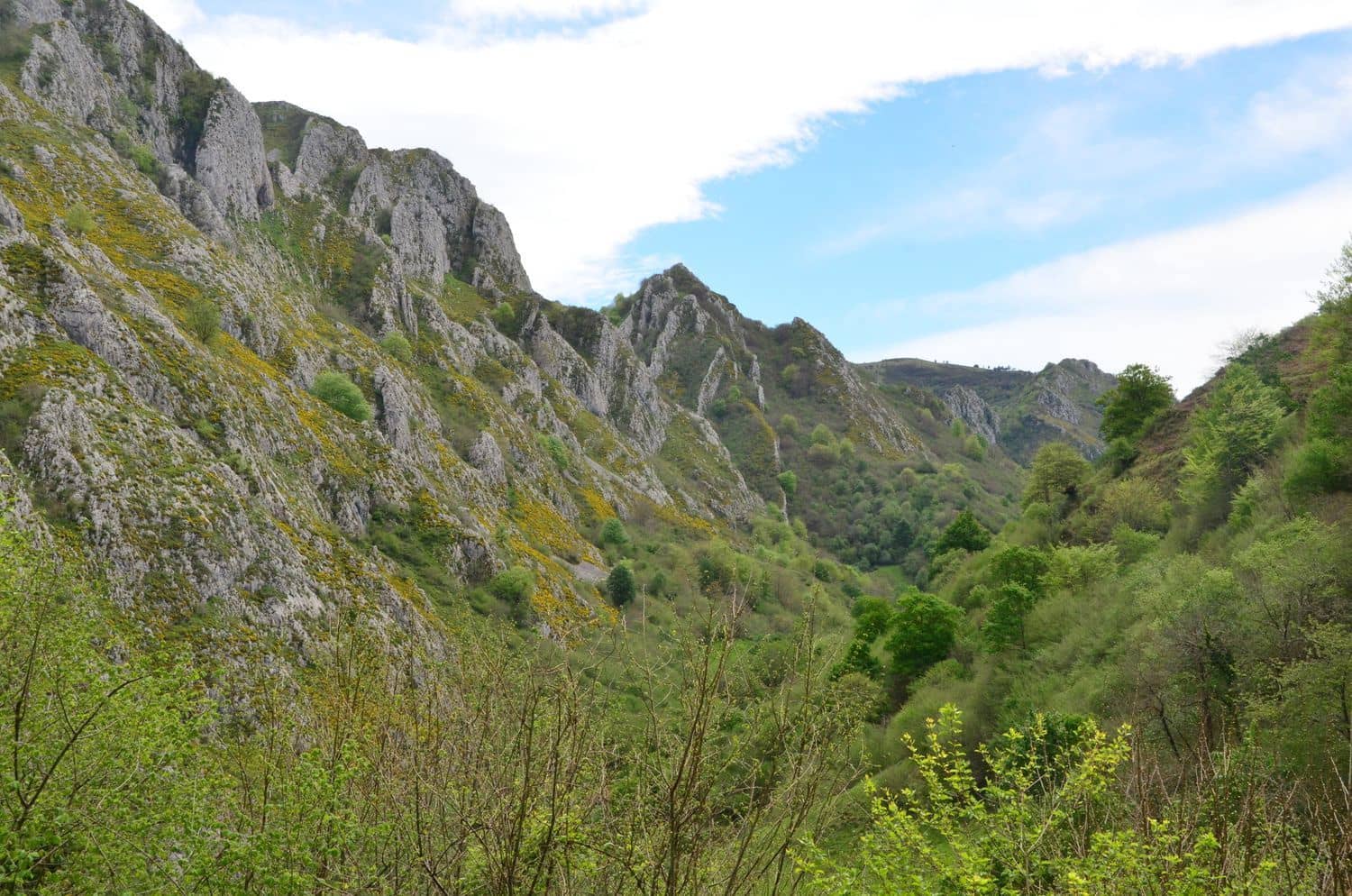 2 soveværelse Finca/Landehus til salg i Pilona med garage - € 168.000 (Ref: 8971809)