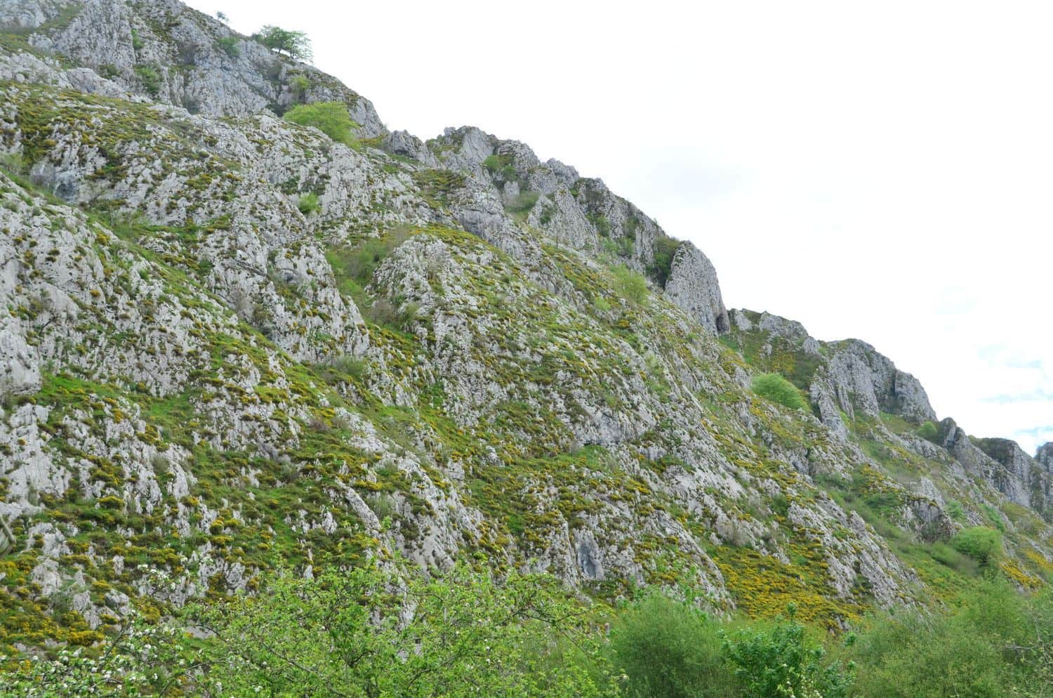 2 soveværelse Finca/Landehus til salg i Pilona med garage - € 168.000 (Ref: 8971809)