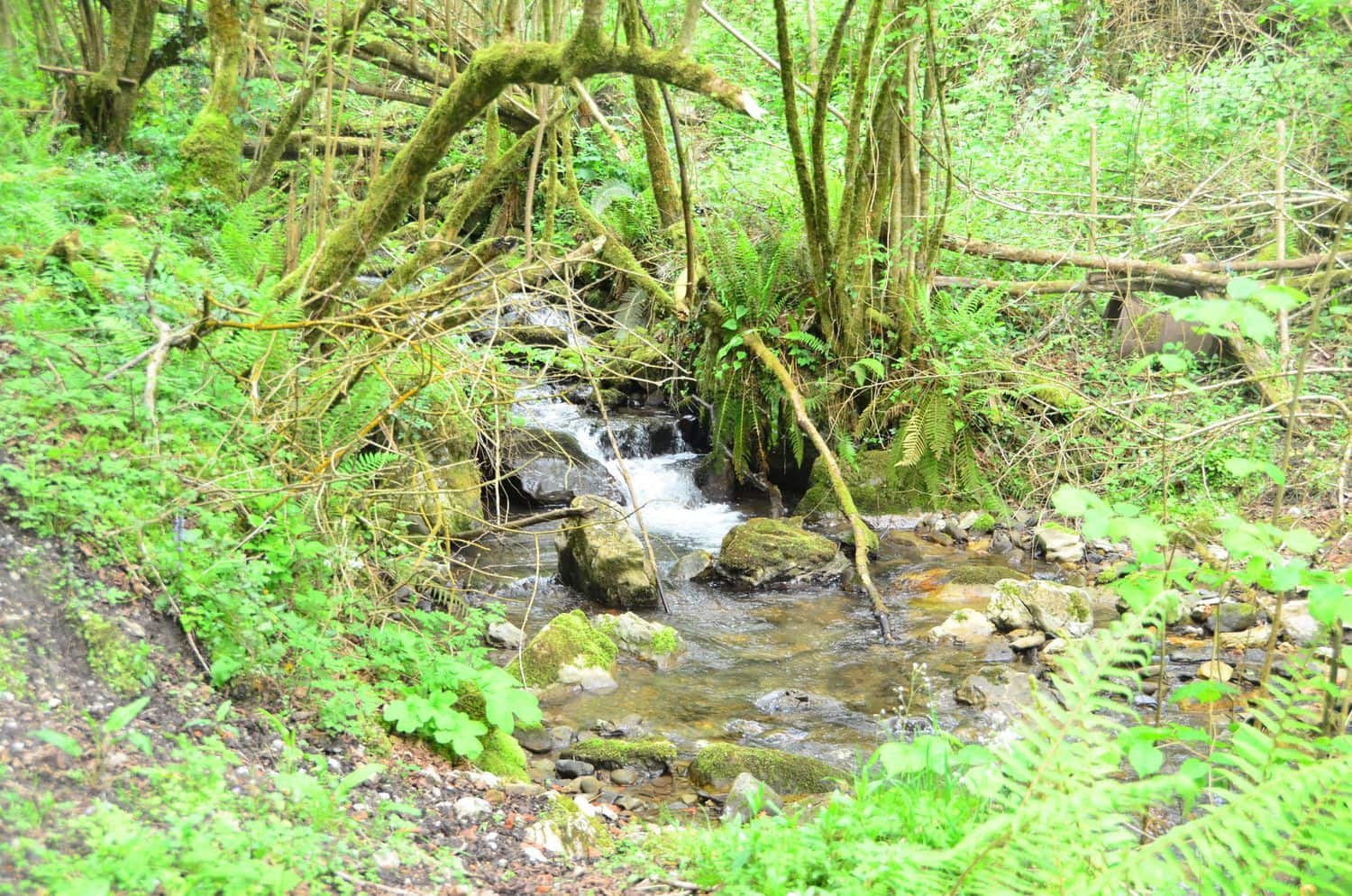 2 soveværelse Finca/Landehus til salg i Pilona med garage - € 168.000 (Ref: 8971809)