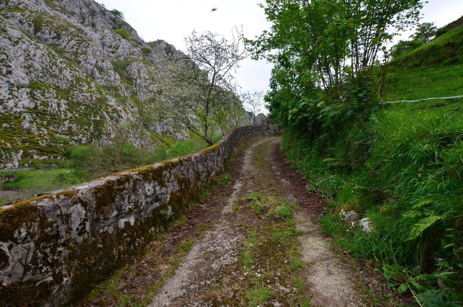 2 soveværelse Finca/Landehus til salg i Pilona med garage - € 168.000 (Ref: 8971809)