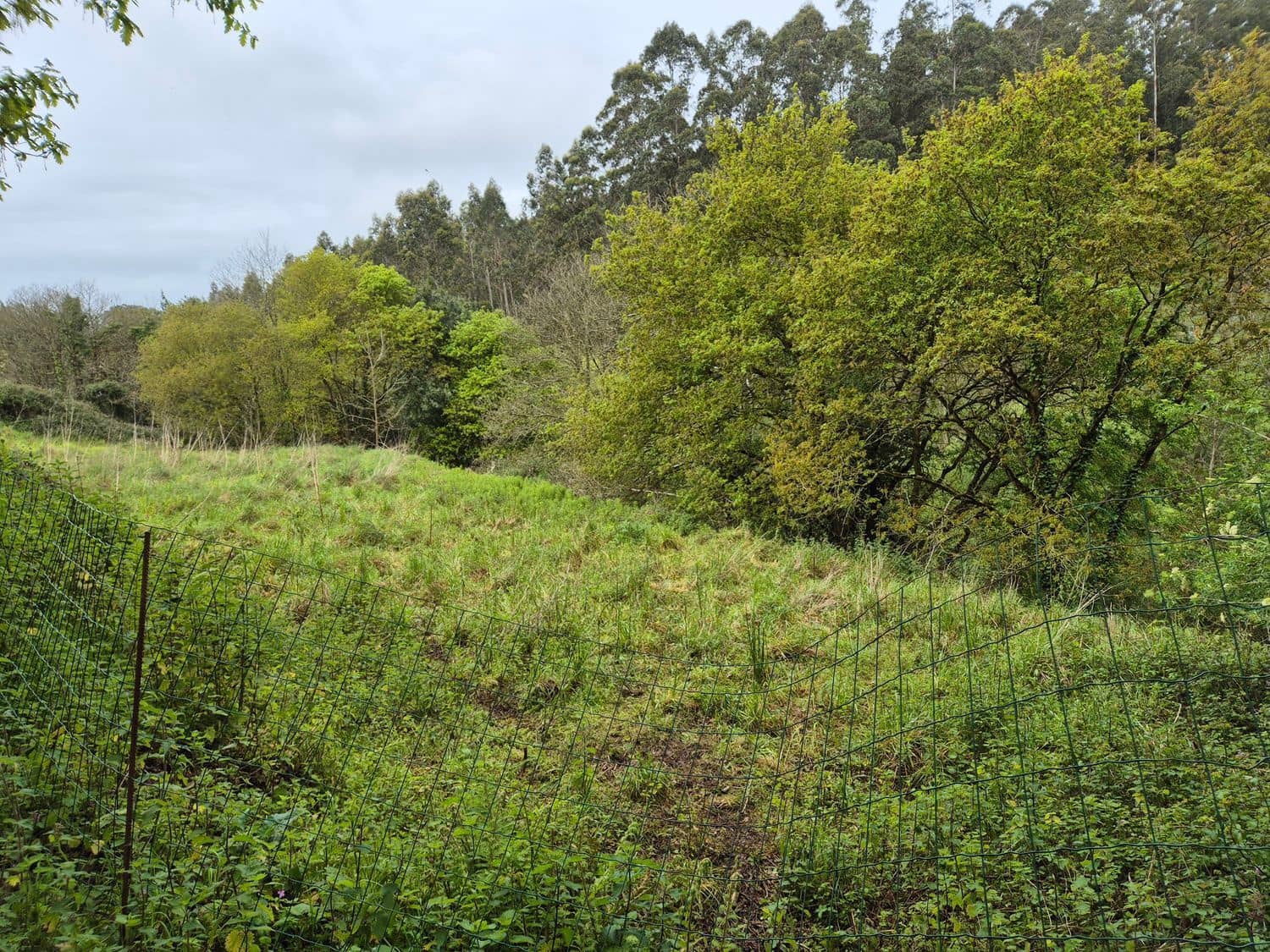 Grond te koop in Carreno - € 35.000 (Ref: 8985482)