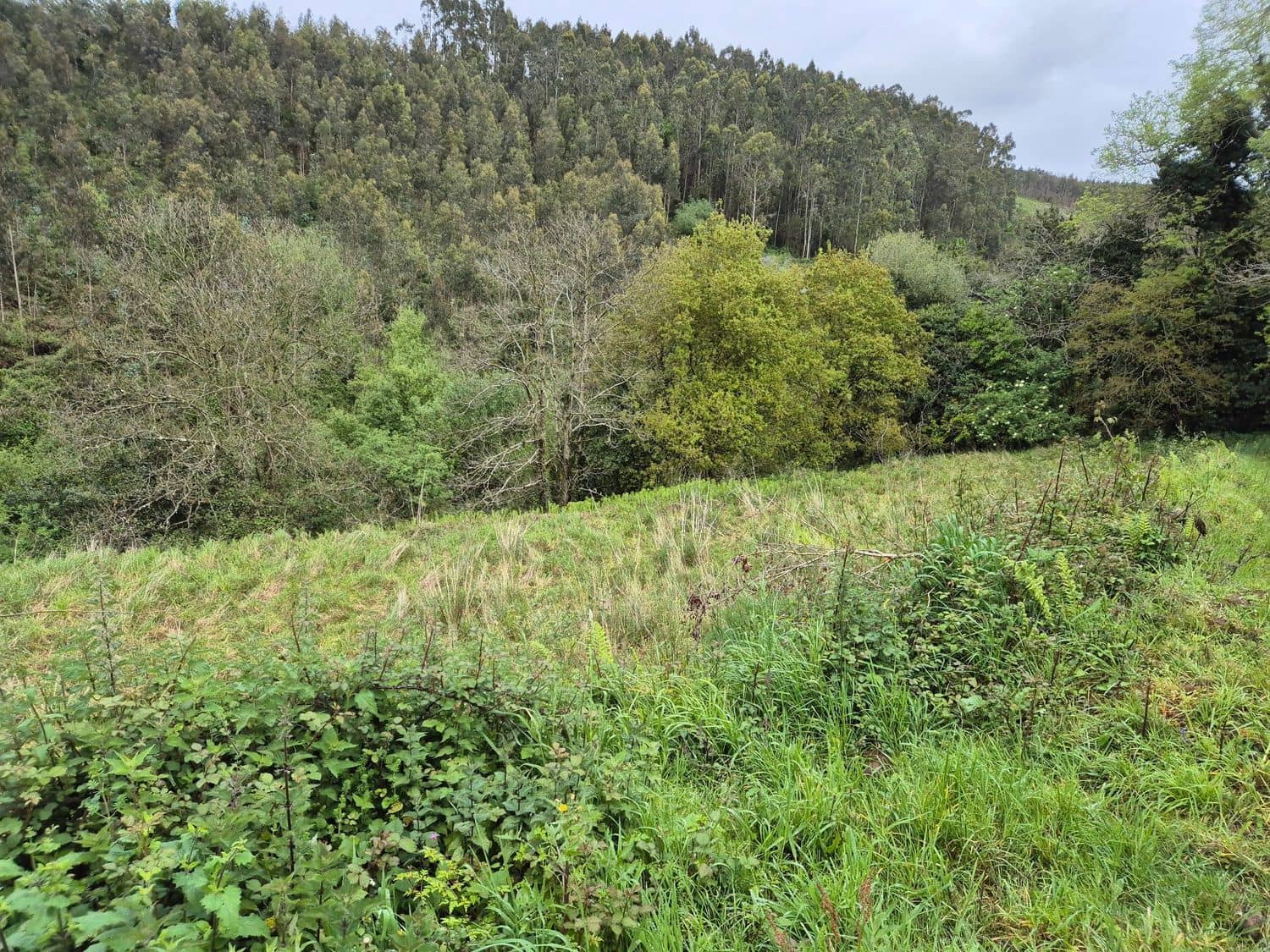 Grond te koop in Carreno - € 35.000 (Ref: 8985482)