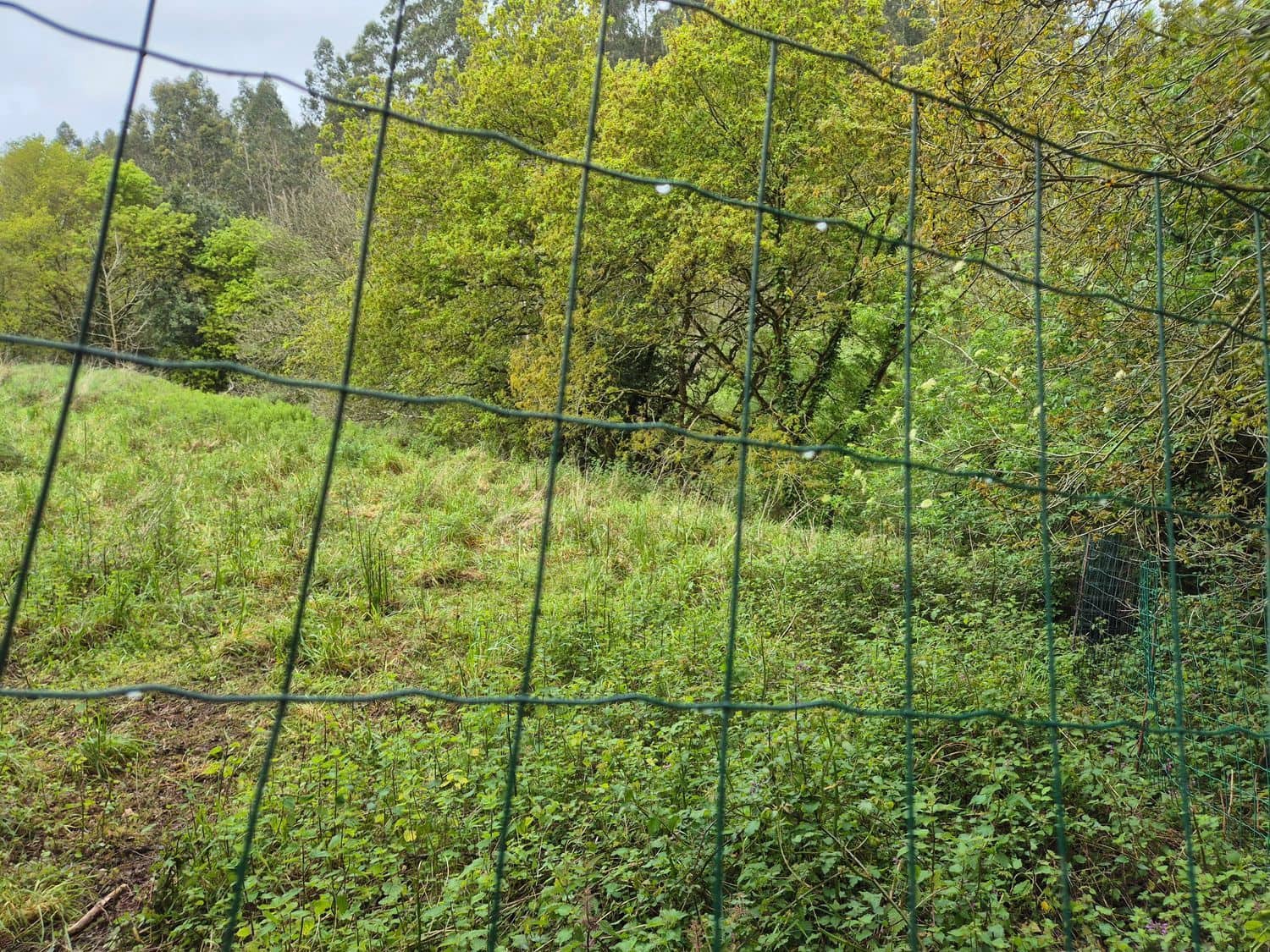 Grond te koop in Carreno - € 35.000 (Ref: 8985482)