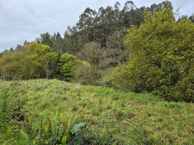 Undeveloped Land for sale in Carreño - € 35,000 (Ref: 8985482)