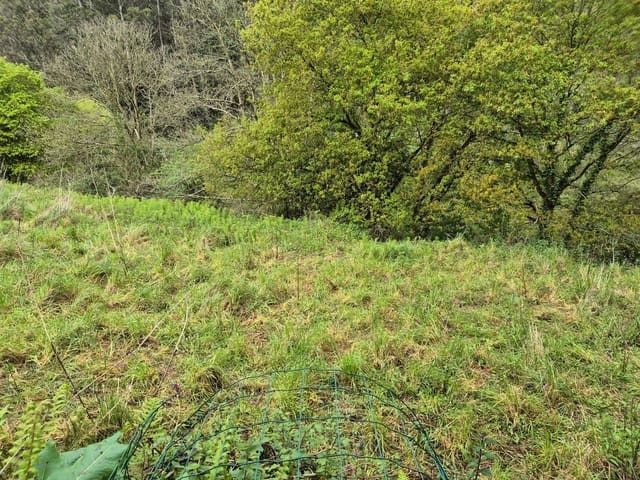 Undeveloped Land for sale in Carreño - € 35,000 (Ref: 8985482)