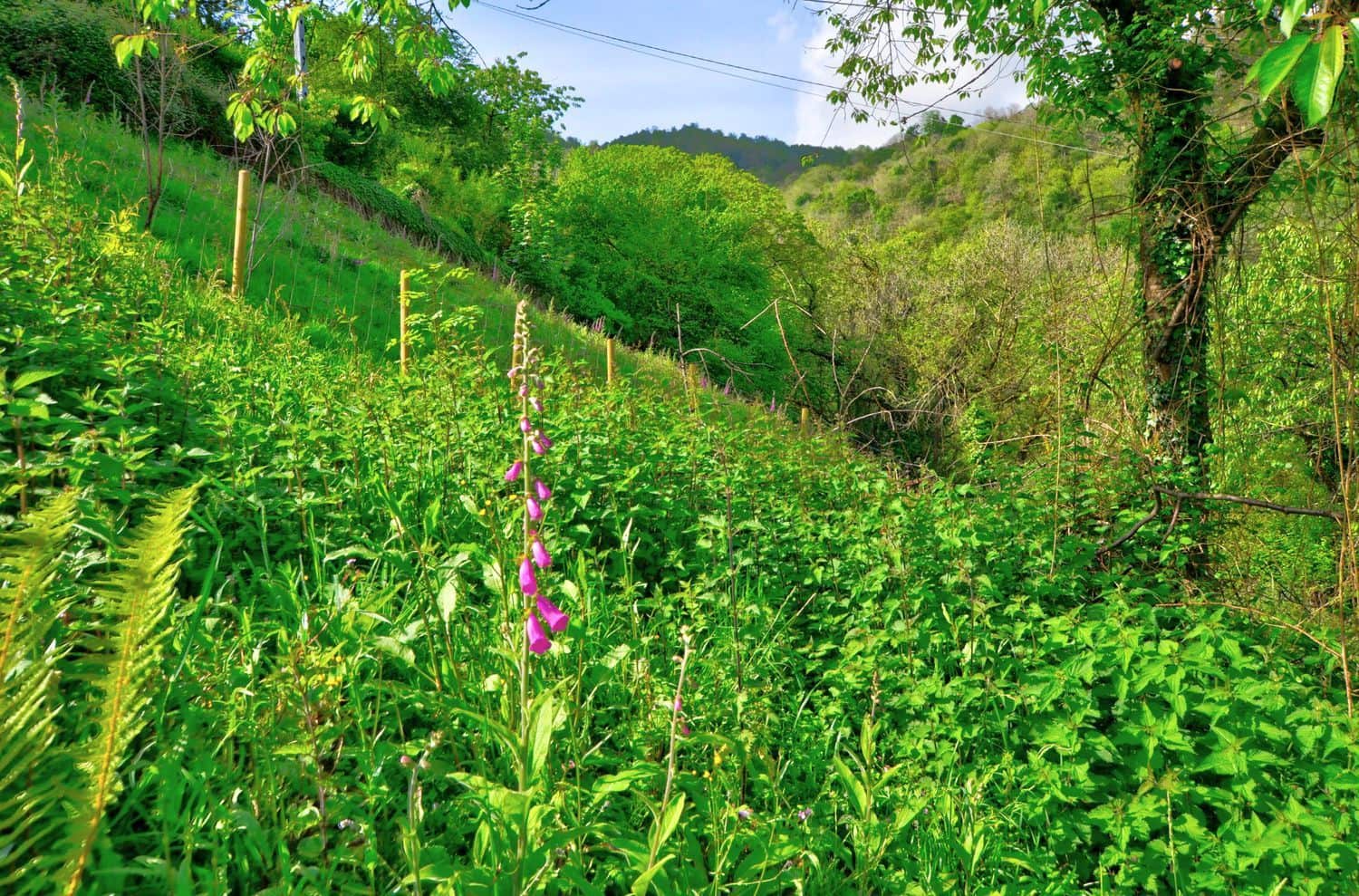 2 soveværelse Finca/Landehus til salg i San Martin del Rey Aurelio med garage - € 150.000 (Ref: 8988107)