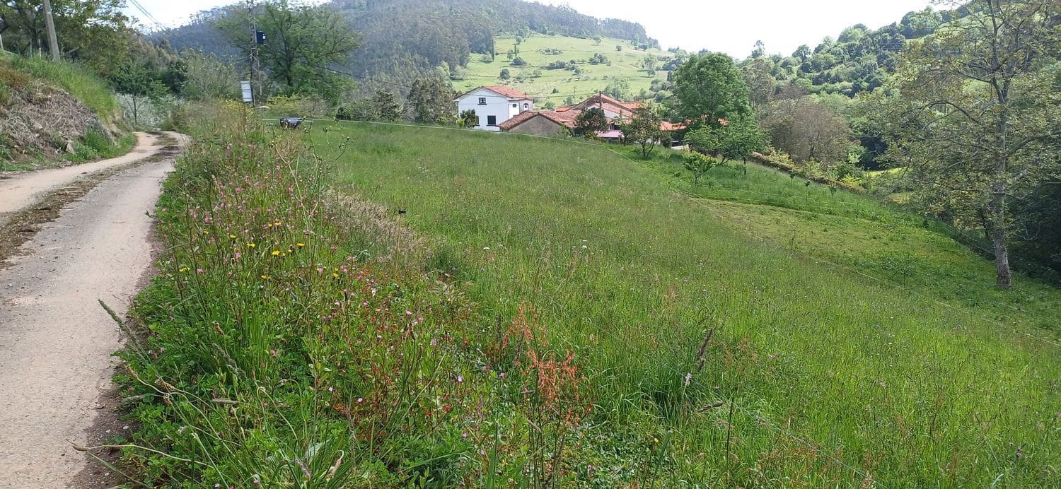 Grunde uden byggetilladelser til salg i Illas - € 35.000 (Ref: 9002744)