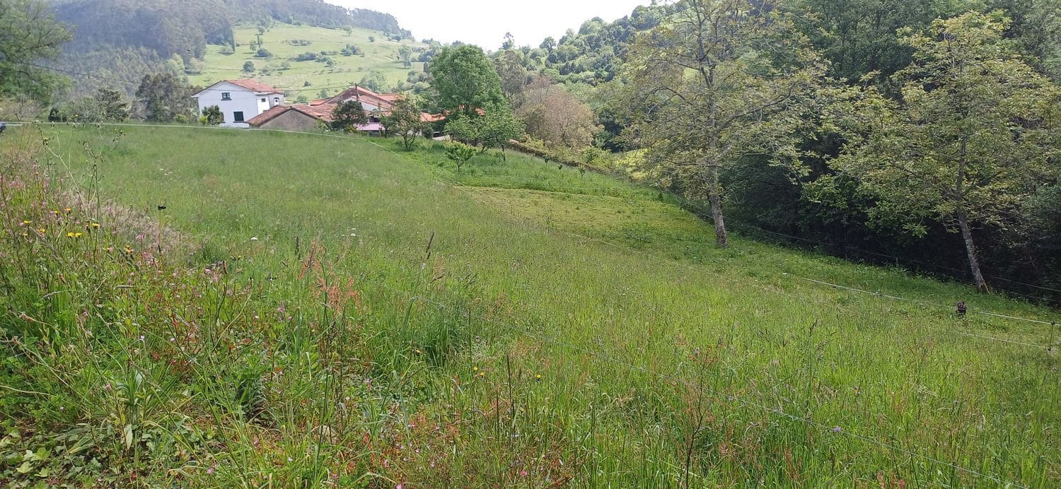 Grunde uden byggetilladelser til salg i Illas - € 35.000 (Ref: 9002744)