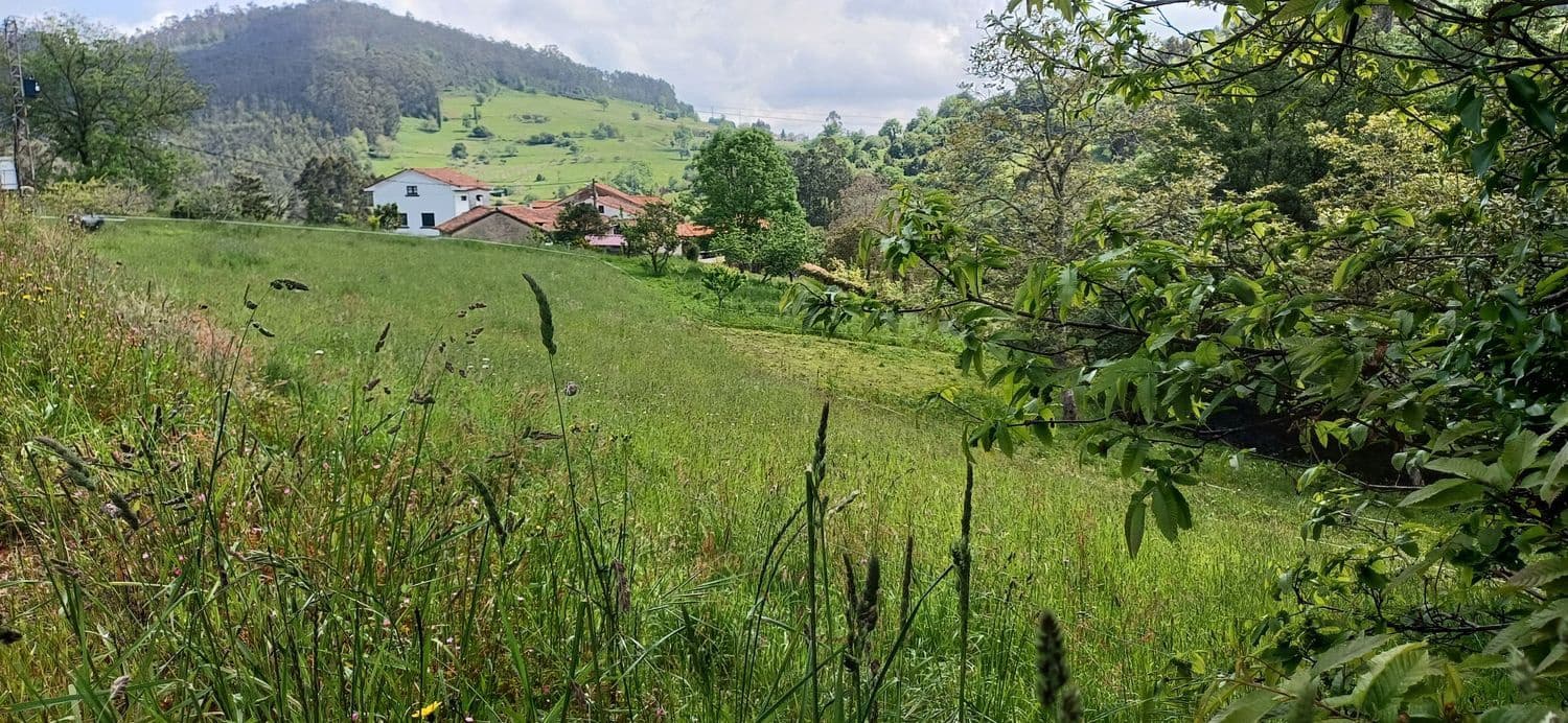 Grunde uden byggetilladelser til salg i Illas - € 35.000 (Ref: 9002744)