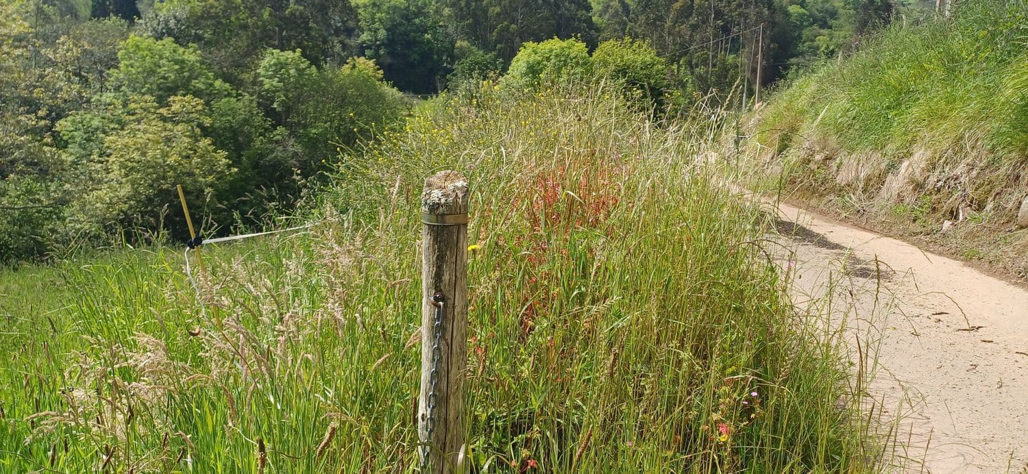 Grunde uden byggetilladelser til salg i Illas - € 35.000 (Ref: 9002744)