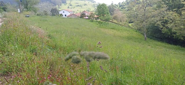 Undeveloped Land for sale in Illas - € 35,000 (Ref: 9002744)