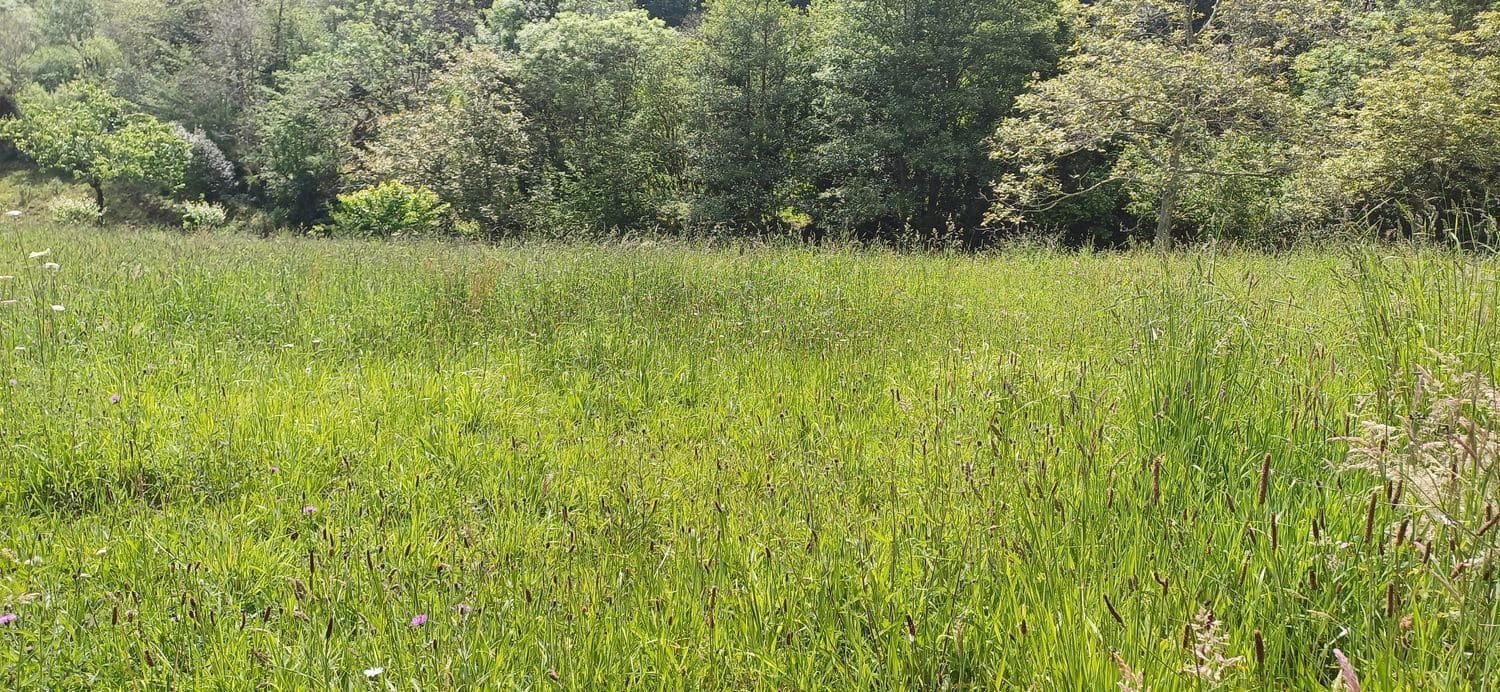 Grunde uden byggetilladelser til salg i Illas - € 35.000 (Ref: 9002744)