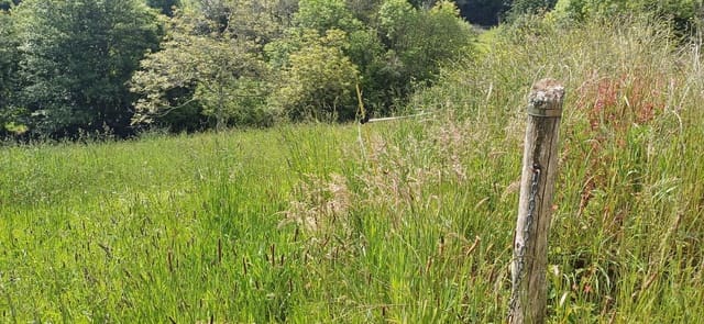 Undeveloped Land for sale in Illas - € 35,000 (Ref: 9002744)