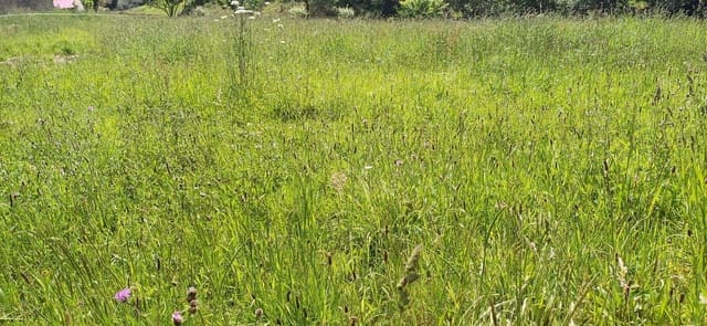 Undeveloped Land for sale in Illas - € 35,000 (Ref: 9002744)