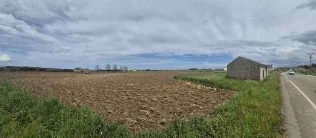 Undeveloped Land for sale in Ribadeo - € 125,000 (Ref: 9016856)