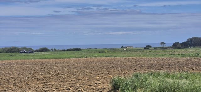 Undeveloped Land for sale in Ribadeo - € 125,000 (Ref: 9016856)