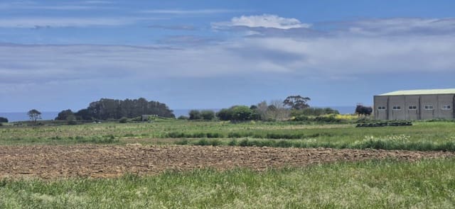 Undeveloped Land for sale in Ribadeo - € 125,000 (Ref: 9016856)