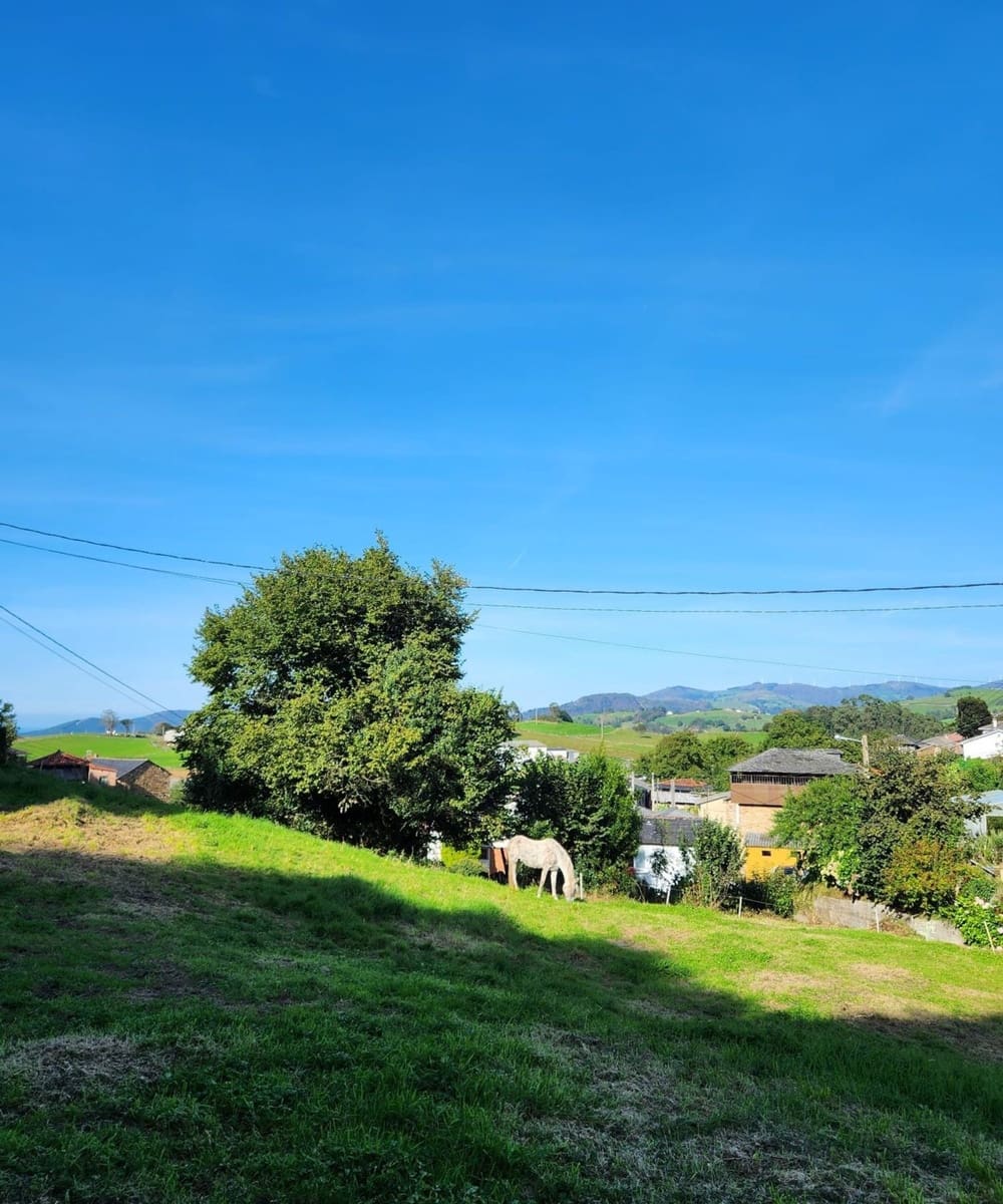 4 soveværelse Finca/Landehus til salg i Luarca - € 30.000 (Ref: 9020177)