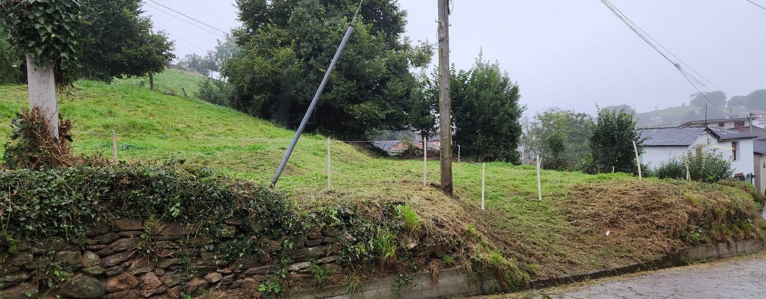 4 soveværelse Finca/Landehus til salg i Luarca - € 30.000 (Ref: 9020177)