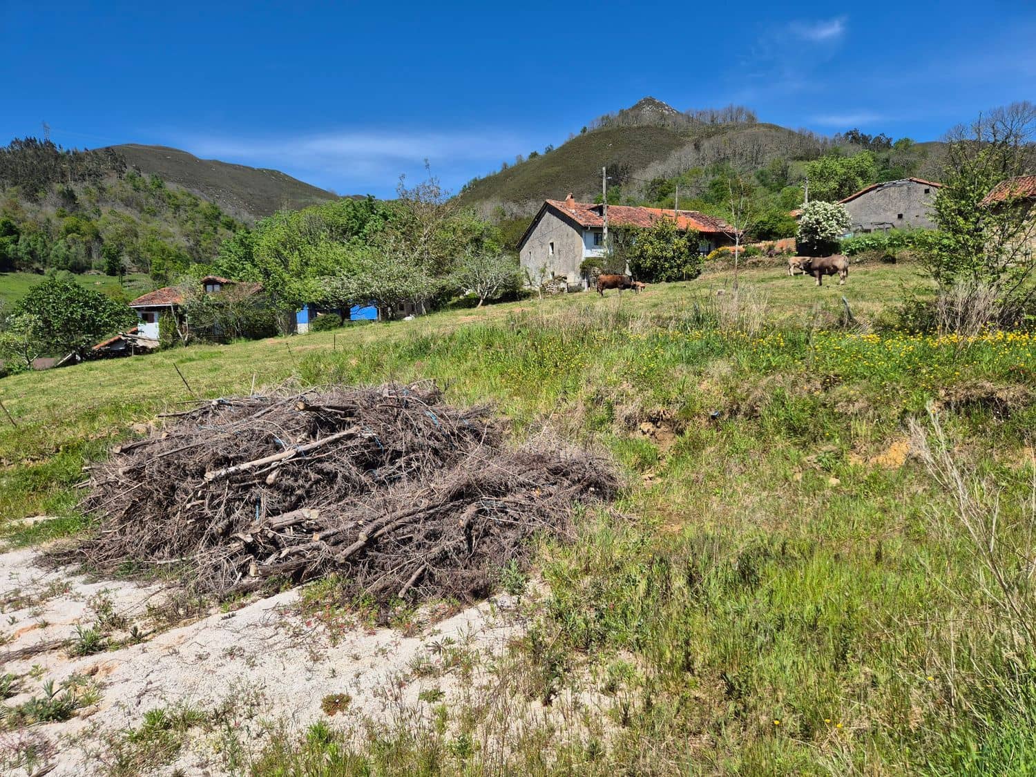 Grunde uden byggetilladelser til salg i Cangas de Onis - € 50.000 (Ref: 9028662)