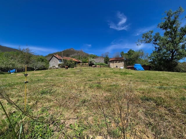 Undeveloped Land for sale in Cangas de Onís - € 50,000 (Ref: 9028662)