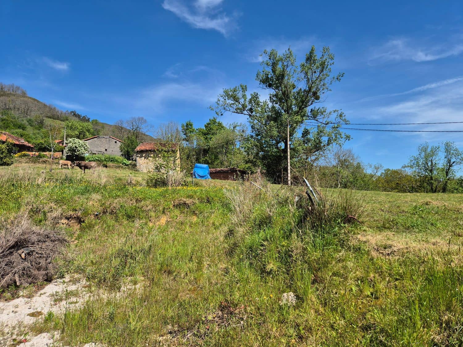 Grunde uden byggetilladelser til salg i Cangas de Onis - € 50.000 (Ref: 9028662)