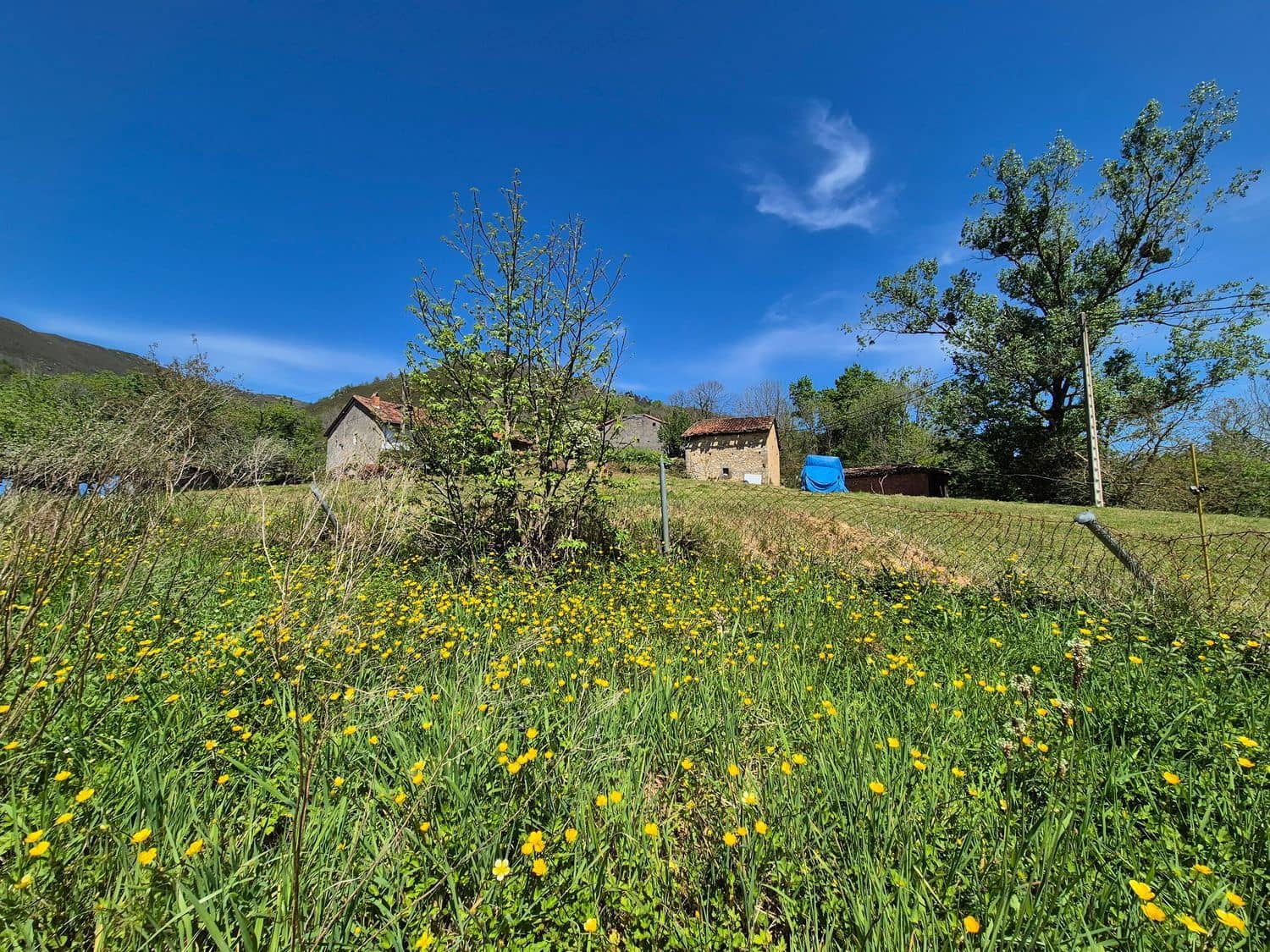 Grunde uden byggetilladelser til salg i Cangas de Onis - € 50.000 (Ref: 9028662)