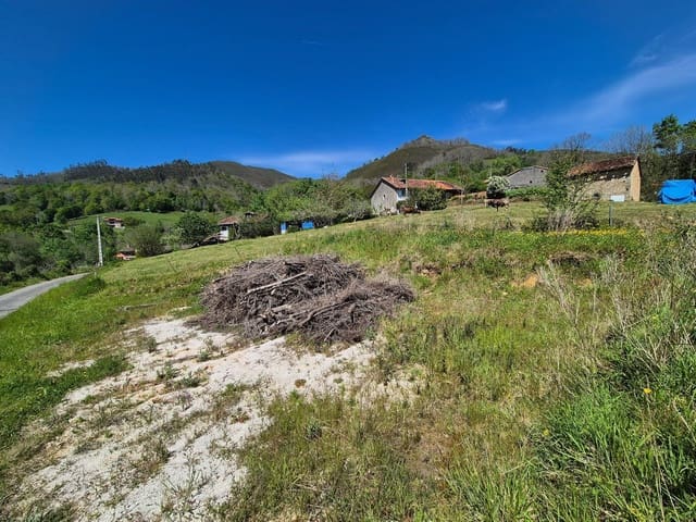 Undeveloped Land for sale in Cangas de Onís - € 50,000 (Ref: 9028662)