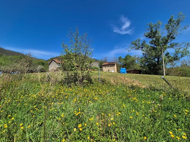 Undeveloped Land for sale in Cangas de Onís - € 50,000 (Ref: 9028662)