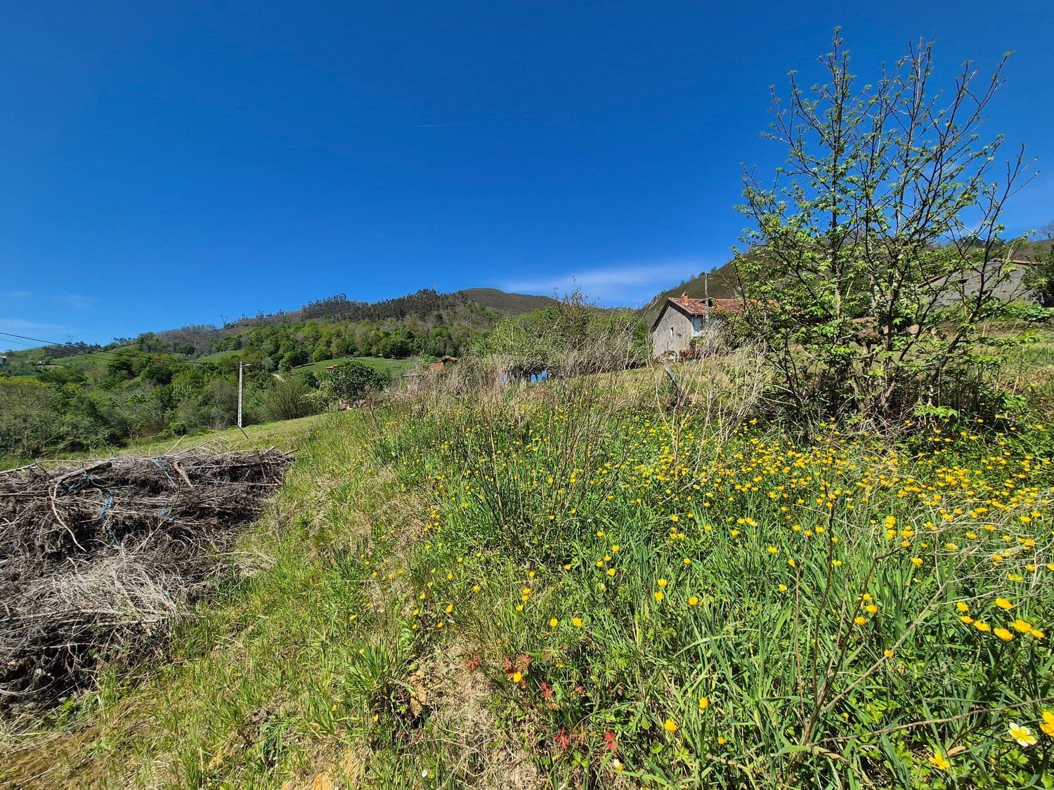 Grunde uden byggetilladelser til salg i Cangas de Onis - € 50.000 (Ref: 9028662)