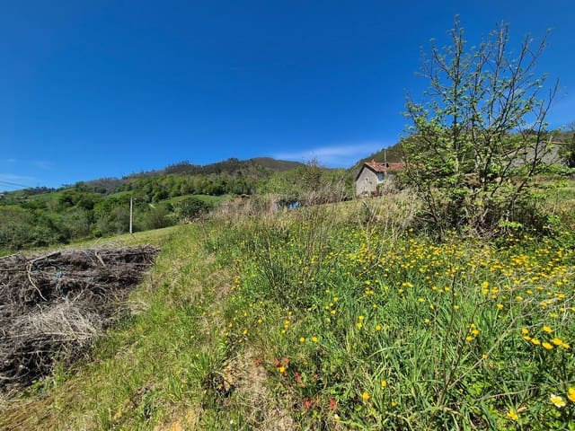Undeveloped Land for sale in Cangas de Onís - € 50,000 (Ref: 9028662)