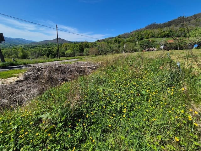 Undeveloped Land for sale in Cangas de Onís - € 50,000 (Ref: 9028662)