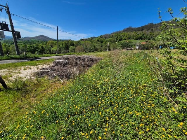 Undeveloped Land for sale in Cangas de Onís - € 50,000 (Ref: 9028662)