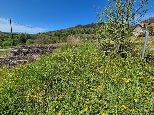 Undeveloped Land for sale in Cangas de Onís - € 50,000 (Ref: 9028662)