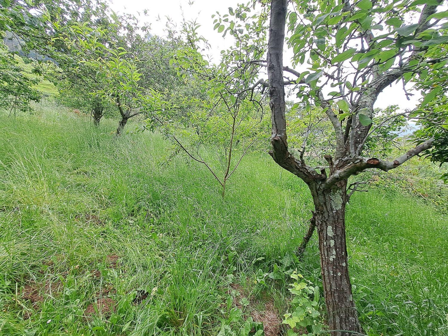 3 soverom Finca/Herregård til salgs i Villaviciosa med garasje - € 159 000 (Ref: 9074676)