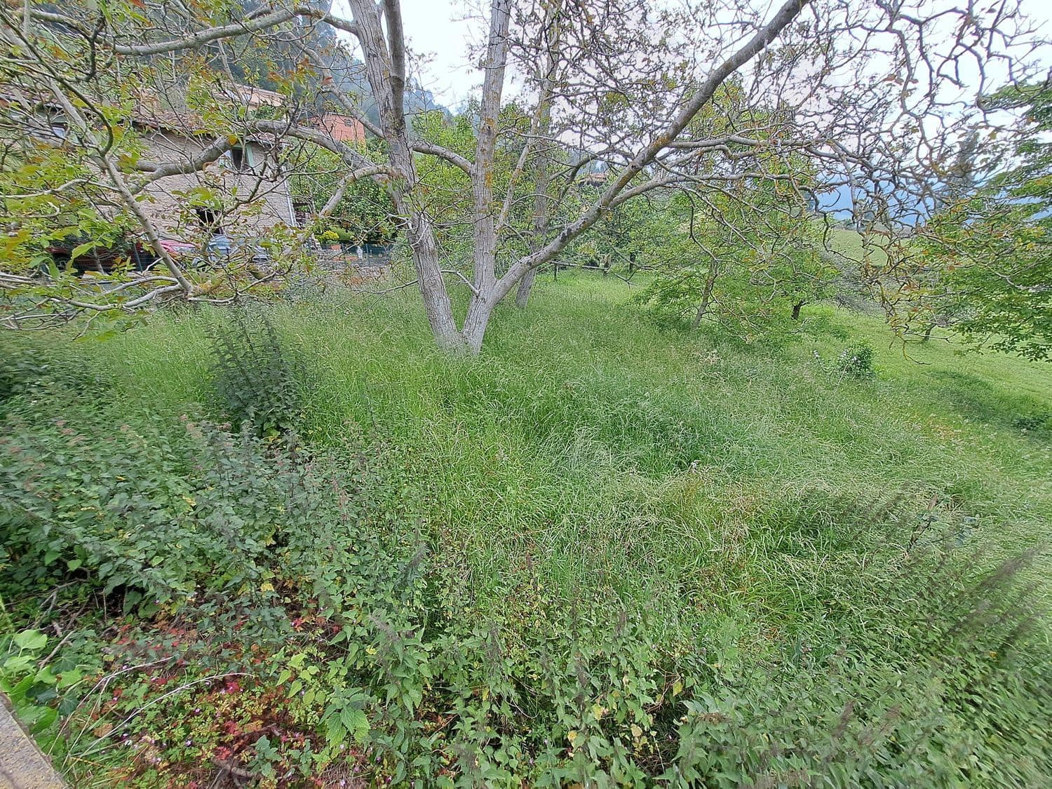 3 soverom Finca/Herregård til salgs i Villaviciosa med garasje - € 159 000 (Ref: 9074676)