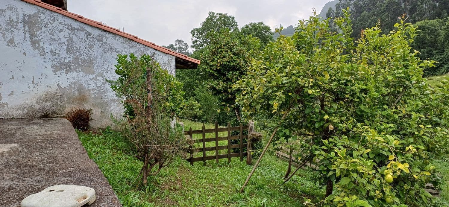 Grond te koop in Illas - € 48.000 (Ref: 9088324)