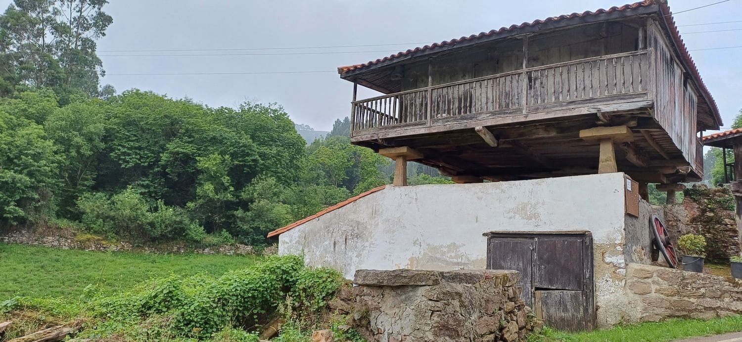 Grond te koop in Illas - € 48.000 (Ref: 9088324)