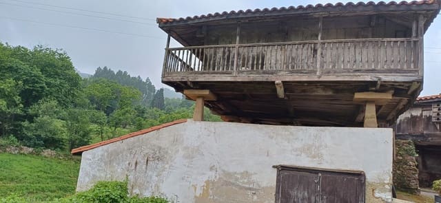 Undeveloped Land for sale in Illas - € 48,000 (Ref: 9088324)