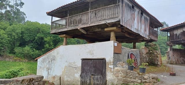 Undeveloped Land for sale in Illas - € 48,000 (Ref: 9088324)