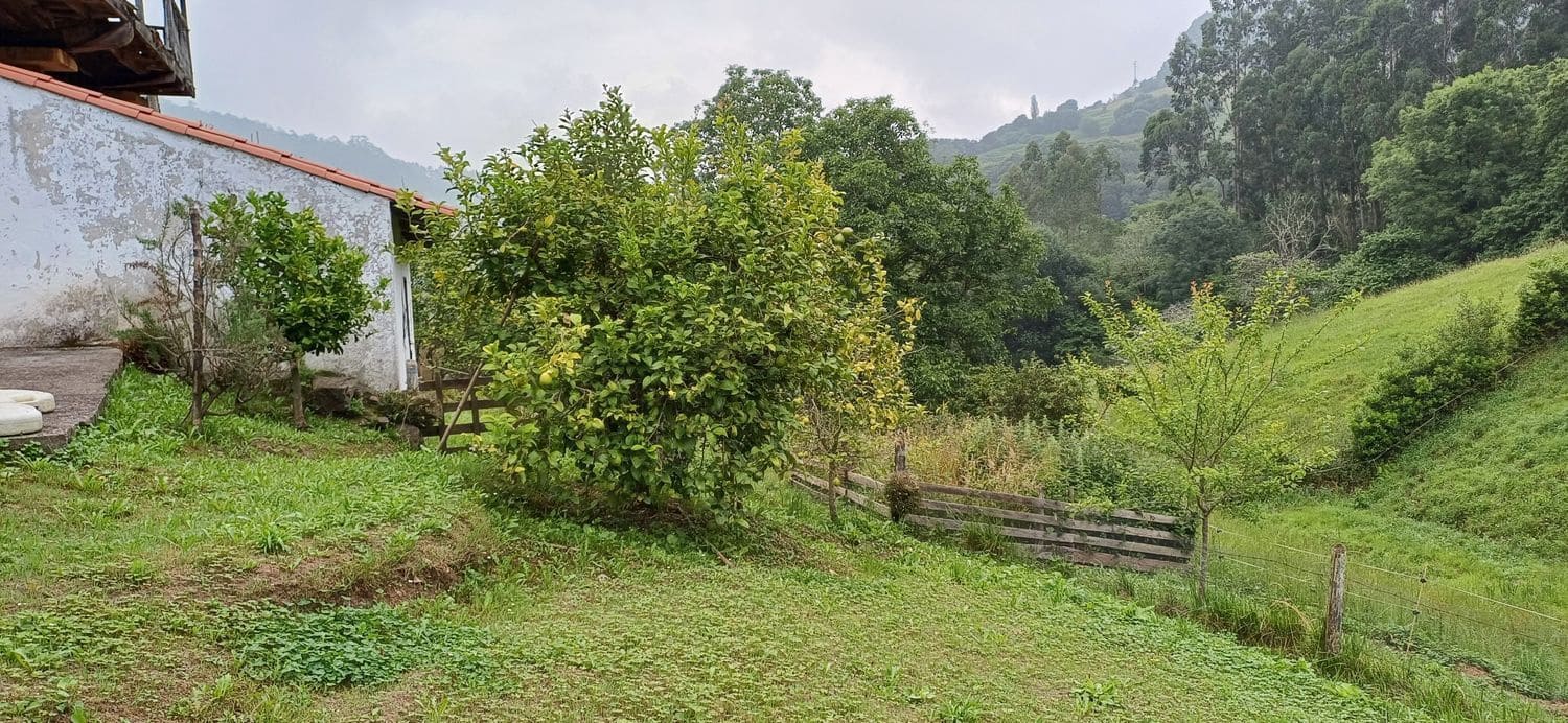 Grond te koop in Illas - € 48.000 (Ref: 9088324)