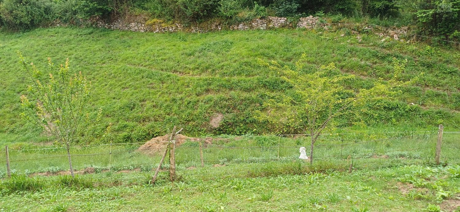 Grond te koop in Illas - € 48.000 (Ref: 9088324)