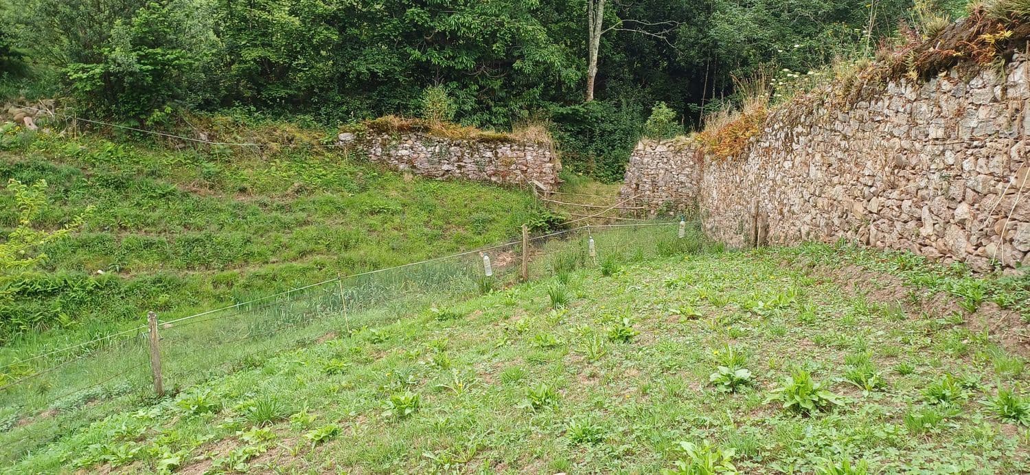 Grond te koop in Illas - € 48.000 (Ref: 9088324)