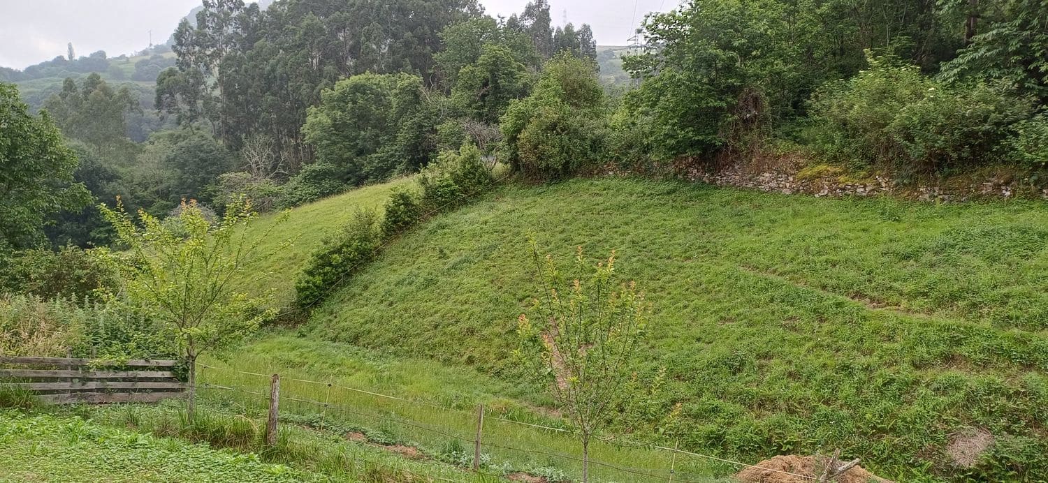 Grond te koop in Illas - € 48.000 (Ref: 9088324)