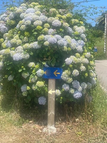 Mark till salu i Cudillero - 320 000 € (Ref: 9095065)