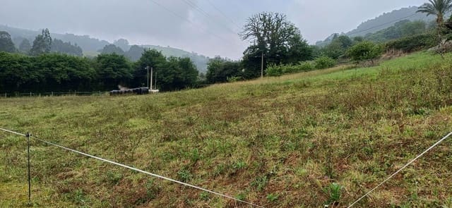 Undeveloped Land for sale in Illas - € 18,000 (Ref: 9095929)