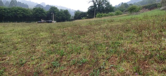 Undeveloped Land for sale in Illas - € 18,000 (Ref: 9095929)