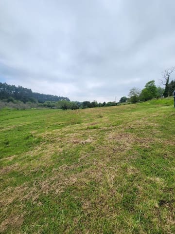 Undeveloped Land for sale in Ribadesella - € 58,000 (Ref: 9100306)