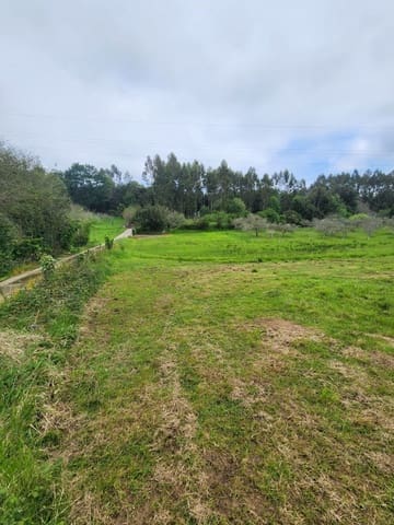 Undeveloped Land for sale in Ribadesella - € 58,000 (Ref: 9100306)